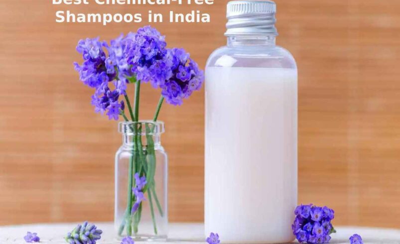 Best Chemical-Free Shampoos in India