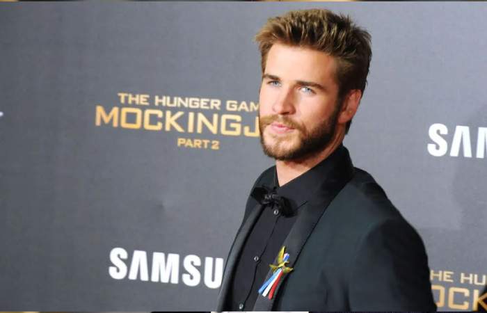 Liam Hemsworth Triangular Face Shape Male Celebrities